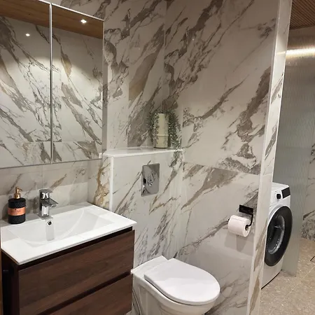 公寓 Upea Design-asunto Huippusijainnilla 坦佩雷